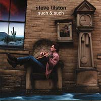 Steve Tilston - Such And Such