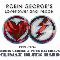 Robin George