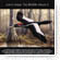 Wildlife Album 2